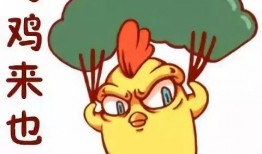 米卡爆料图片搞笑视频,爆笑瞬间，笑出腹肌！